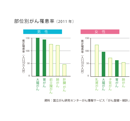 部位別がん罹患率